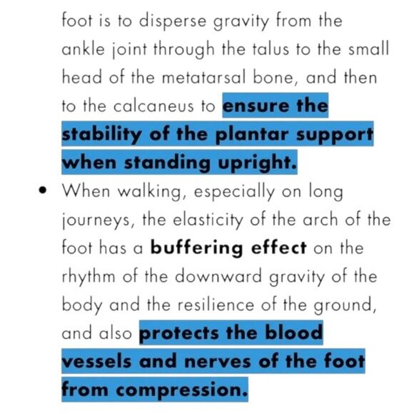 Orthopedic Casual Platform  w/breathable Leather Walking Shoes - Picture 9 of 11